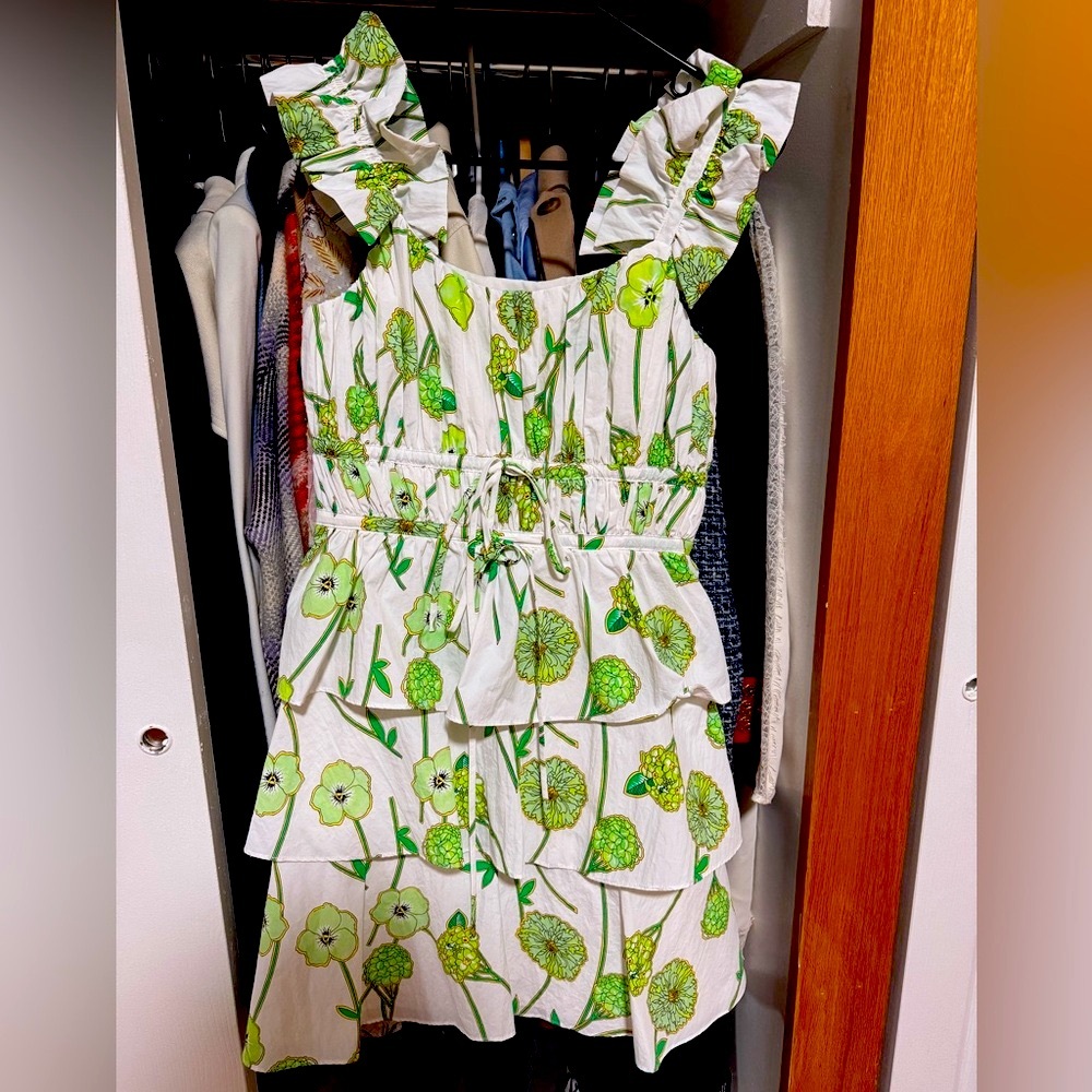 Amur Floral Print Mini Dress - Picture 4 of 7